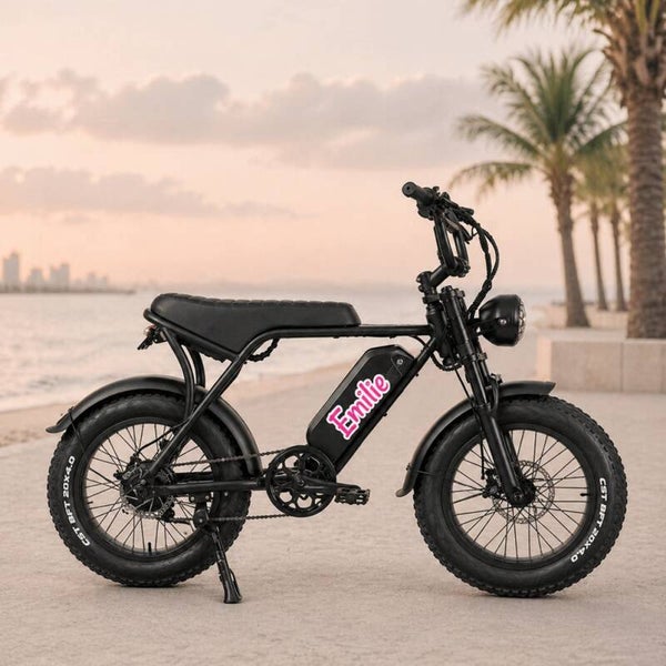 Naamsticker Fatbike 🚲 | LIEFST.COM