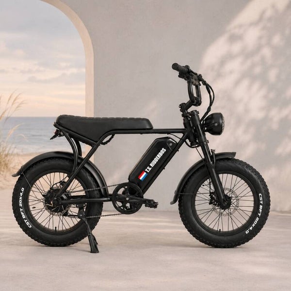 Naamsticker met vlag NL Fatbike  🚲  | LIEFST.COM