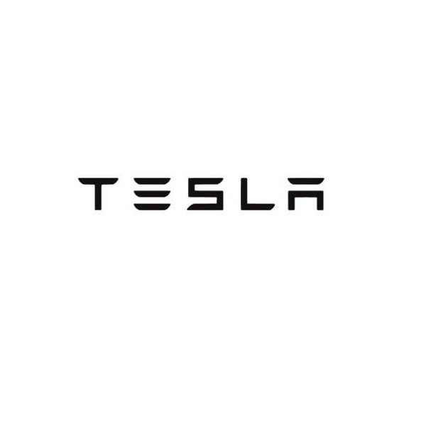 Tesla remklauwsticker set wit / zwart / rood / zilver