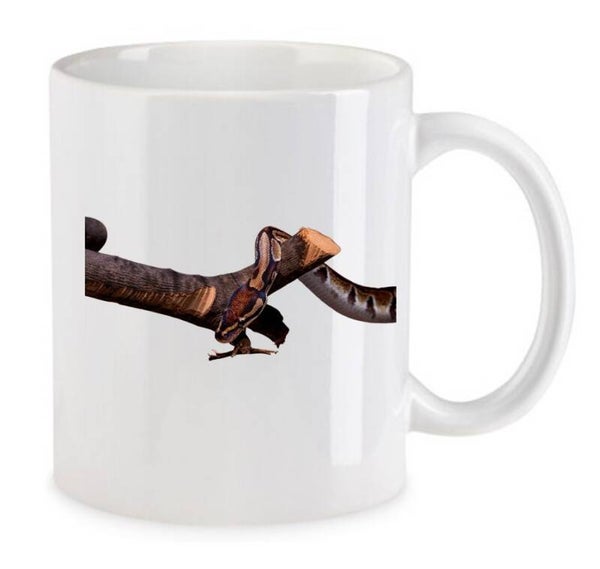 Tasse Reptilien Weiß mit Druck (Siehe Foto) TFBR1