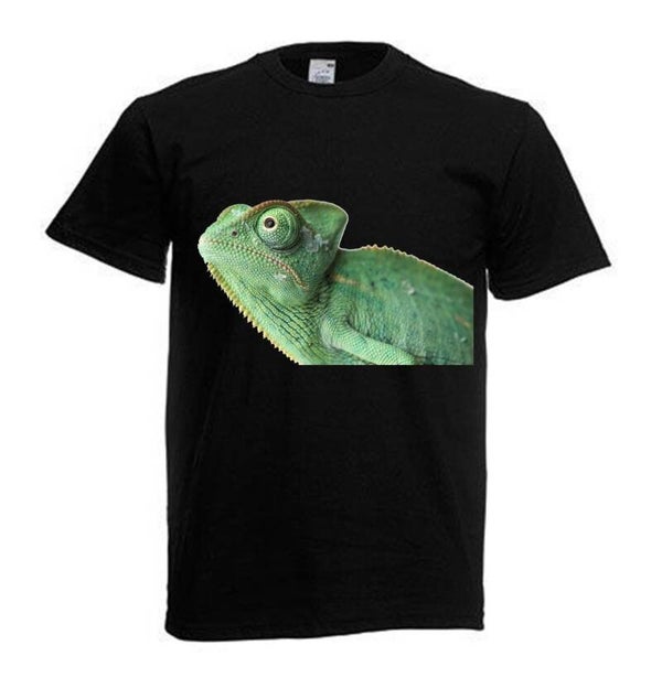 Tshirt Unisex mit Coolen Druck Reptilien Gecko Schlange (Größe & Farbe auswählen) TSFBR45