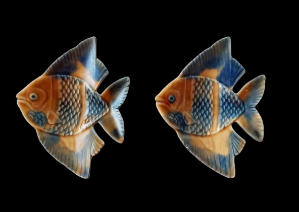 Irish Wade Angel Fish