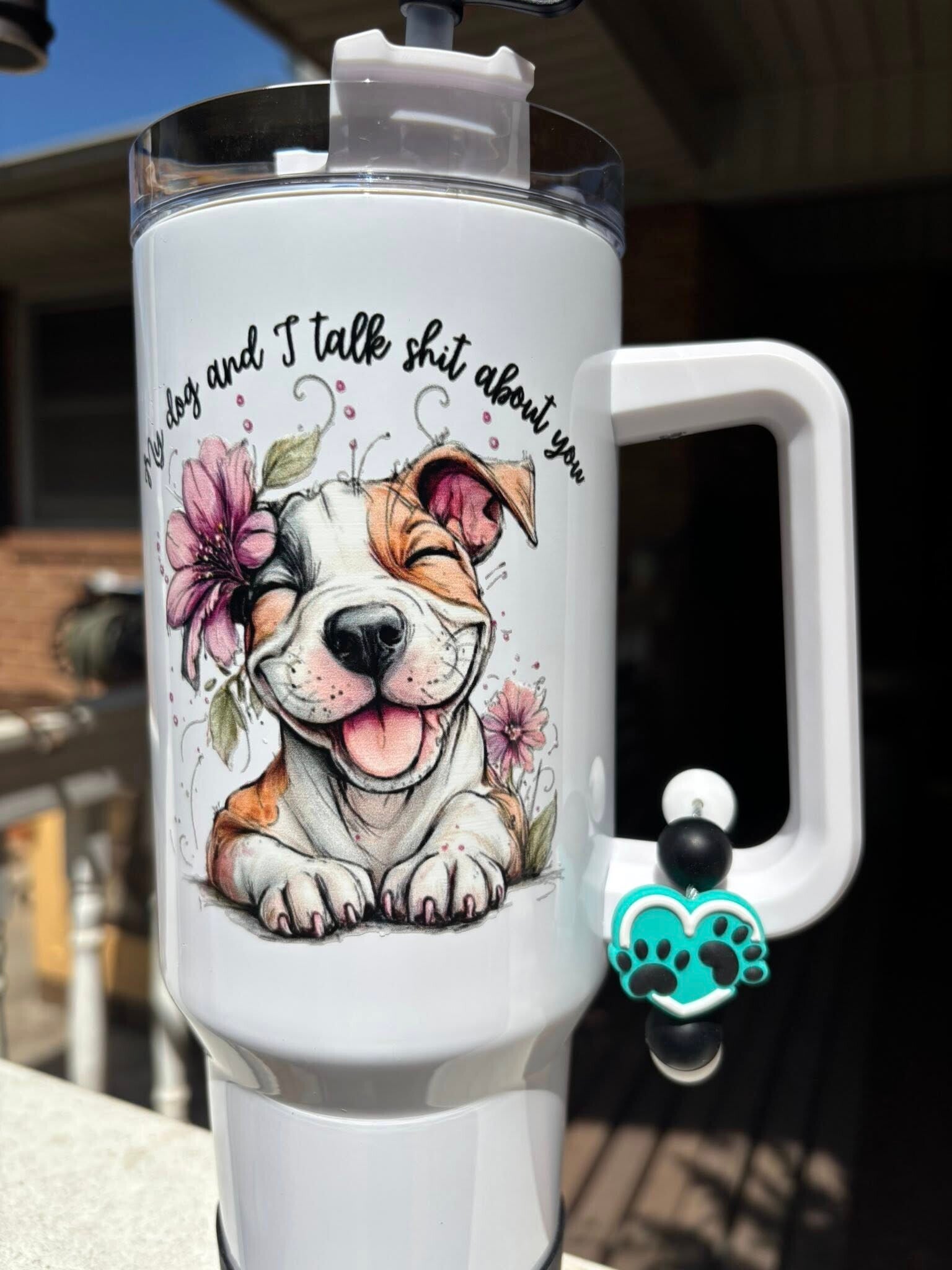 My Dog and I Talk Sh*t About You Tumber Set