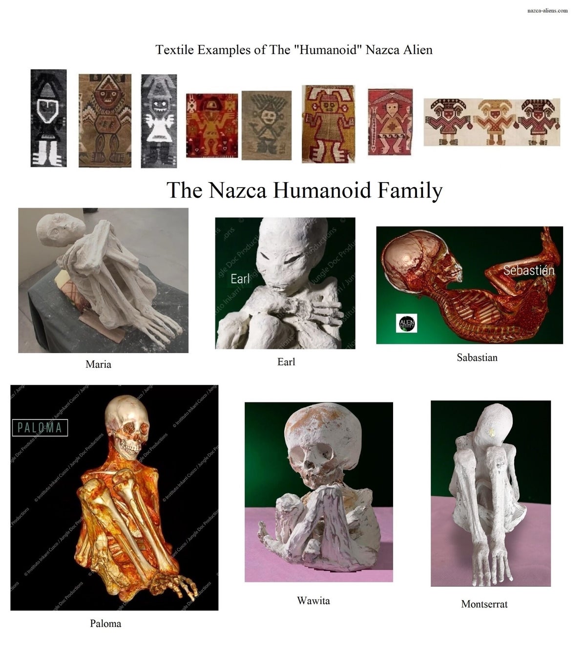 3 Finger 3 Toes Nazca Alien Textiles of Peru | Nazca Aliens