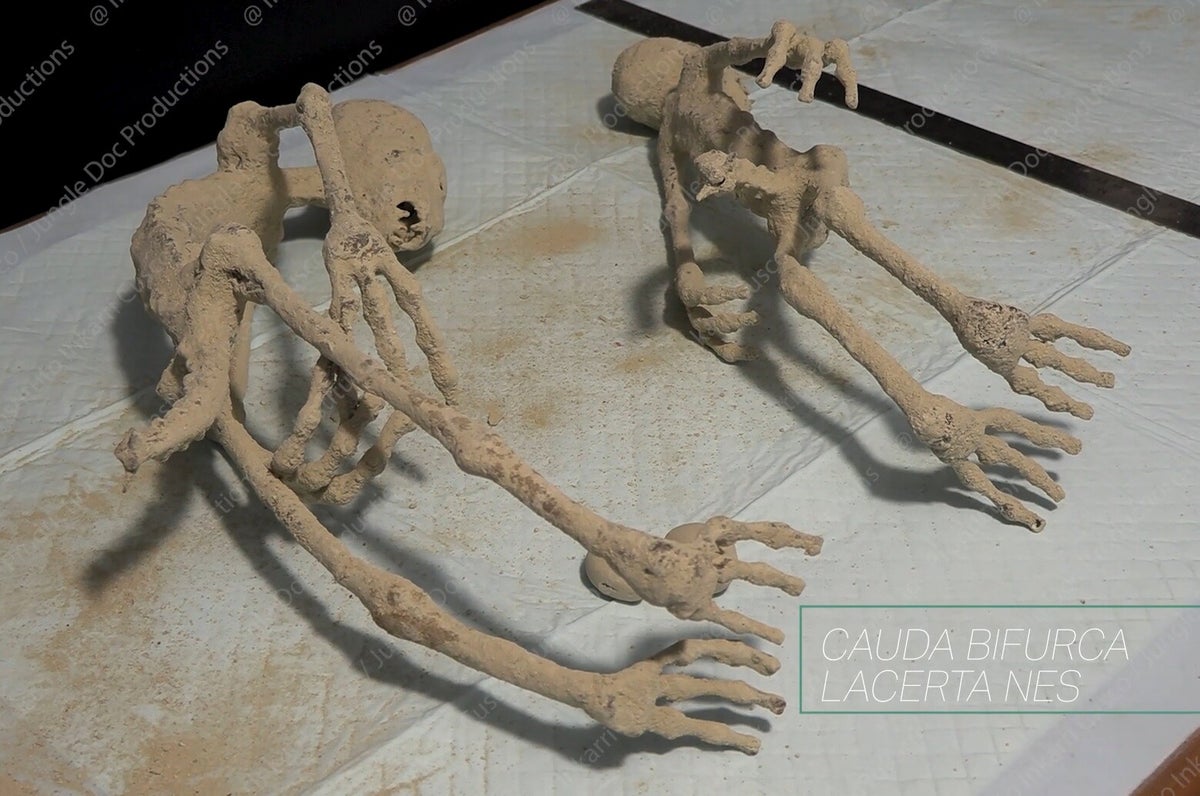 3 Finger 3 Toes Nazca Alien Textiles of Peru | Nazca Aliens