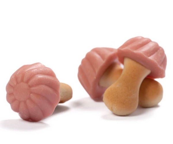 Champignons chocolat fraise DLC: 09/2026