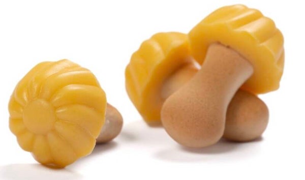 Champignons chocolat banane DLC: 09/2026