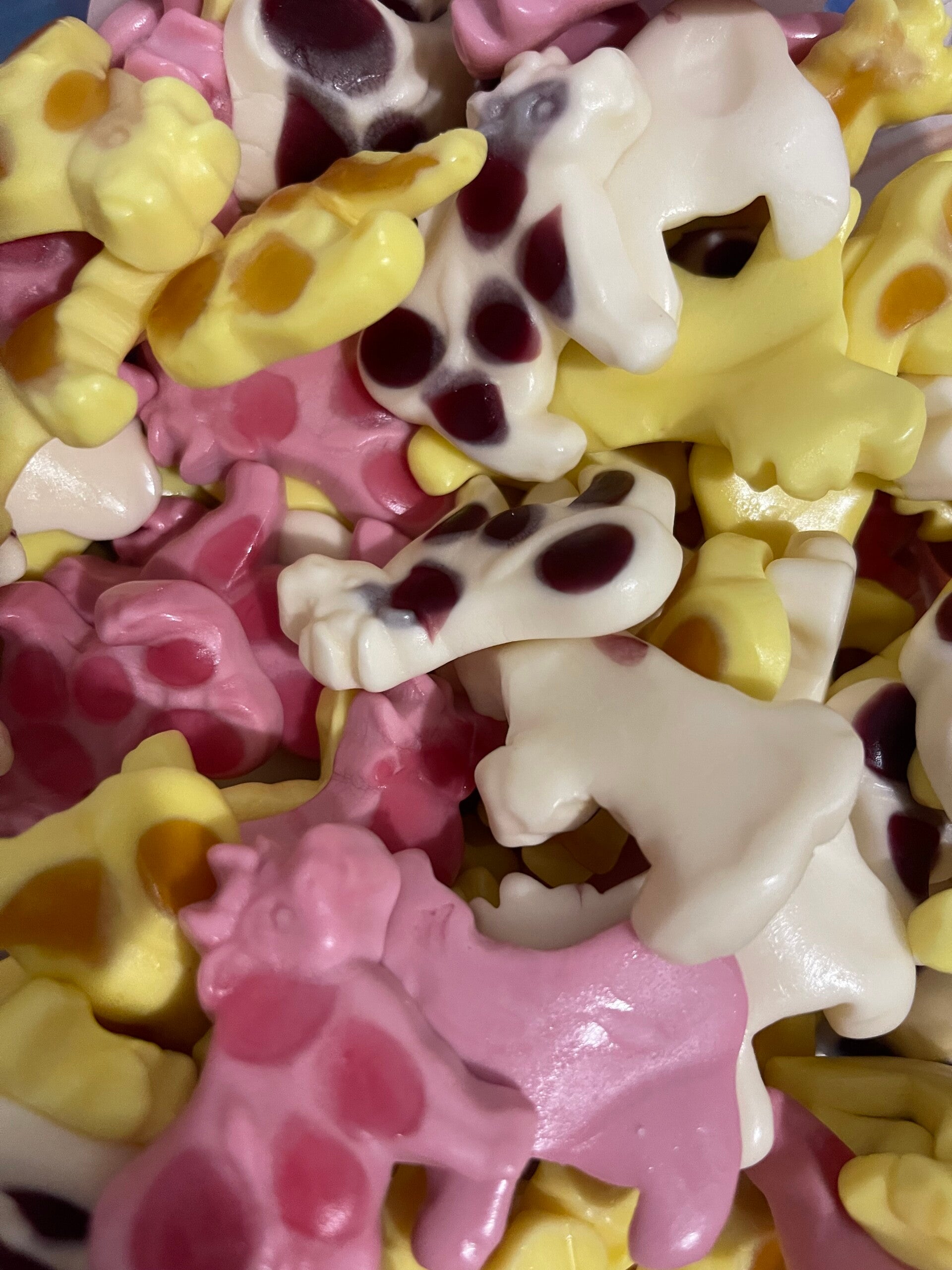 Vaches au lait trolli DLC: 12/2026