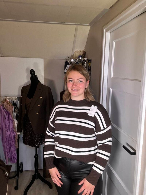 Gestreepte trui bruin