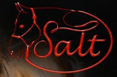 salt-horsemanship-standard.jpg