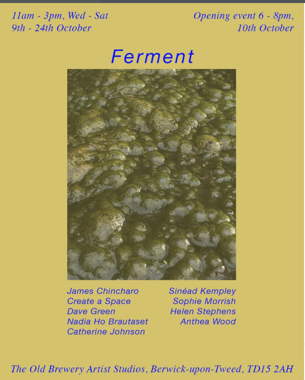 ferment-standard.png