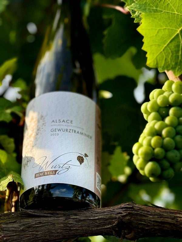 Gewurztraminer - 2023