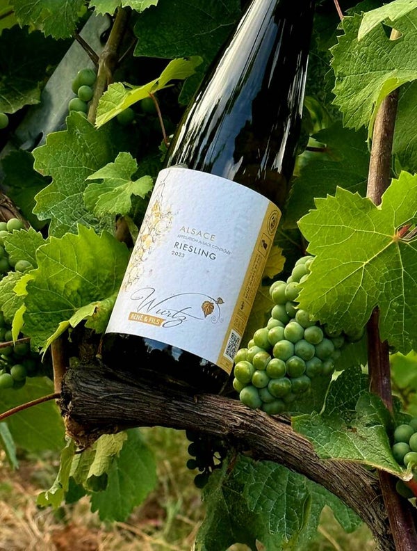 Riesling - 2023