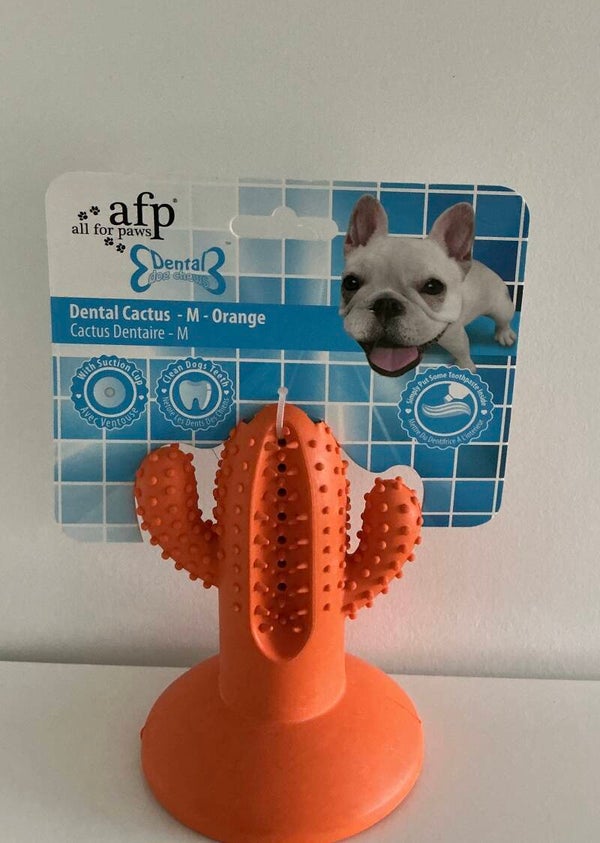 All For Paws:Dental Cactus Medium (nog 1in voorraad)