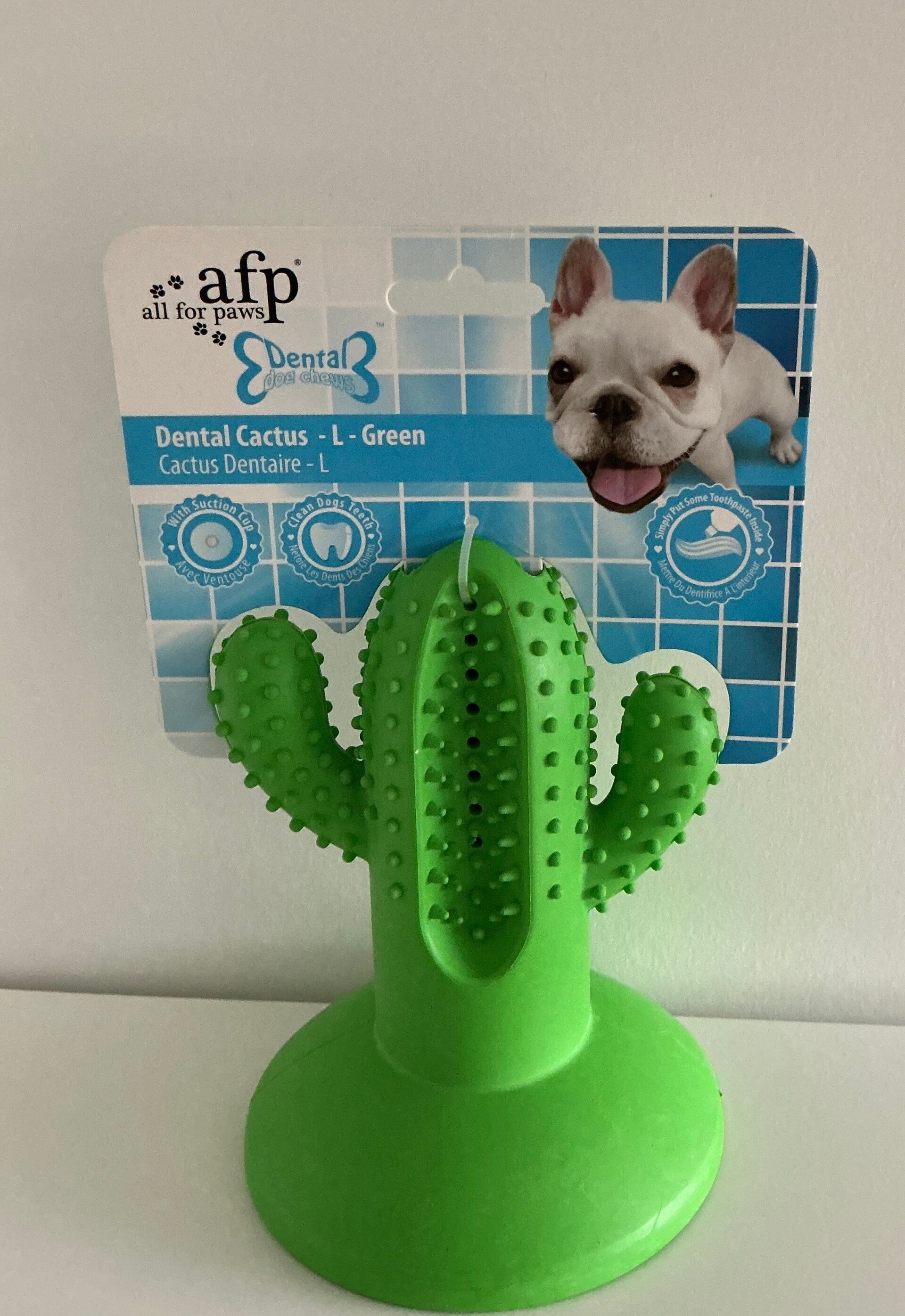 All For Paws:Dental Cactus Large
