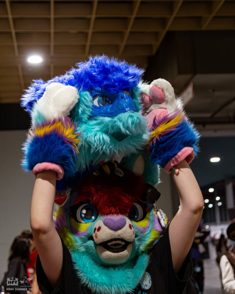 hdcc_052025-0926-standard.jpg