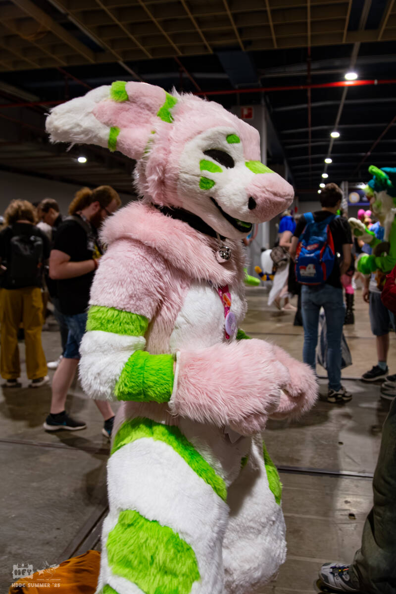 hdcc_052025-0927-standard.jpg