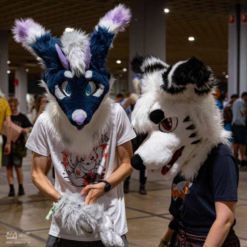 hdcc_052025-0930-standard.jpg