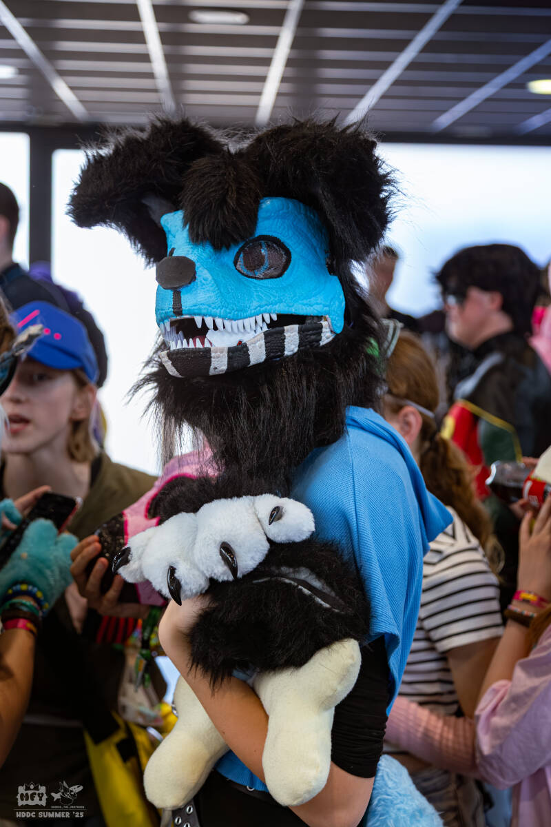 hdcc_052025-811-standard.jpg