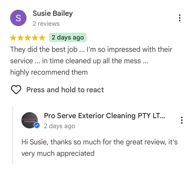 review-standard-396sd4.jpg