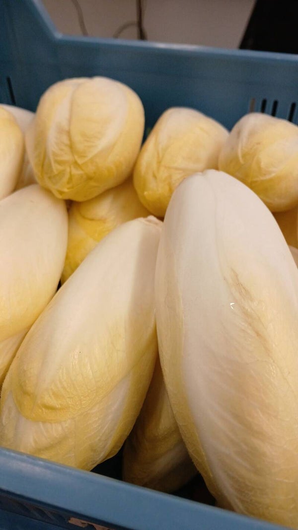 endives vendu par 1kilo