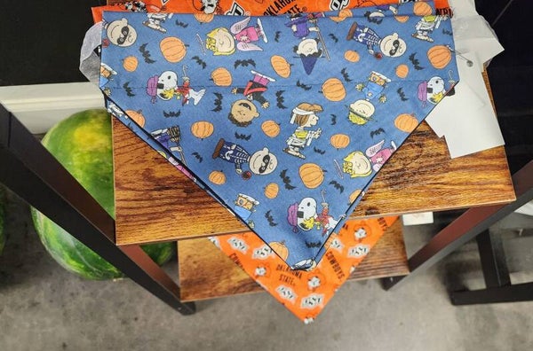 Great pumpkin Snoopy