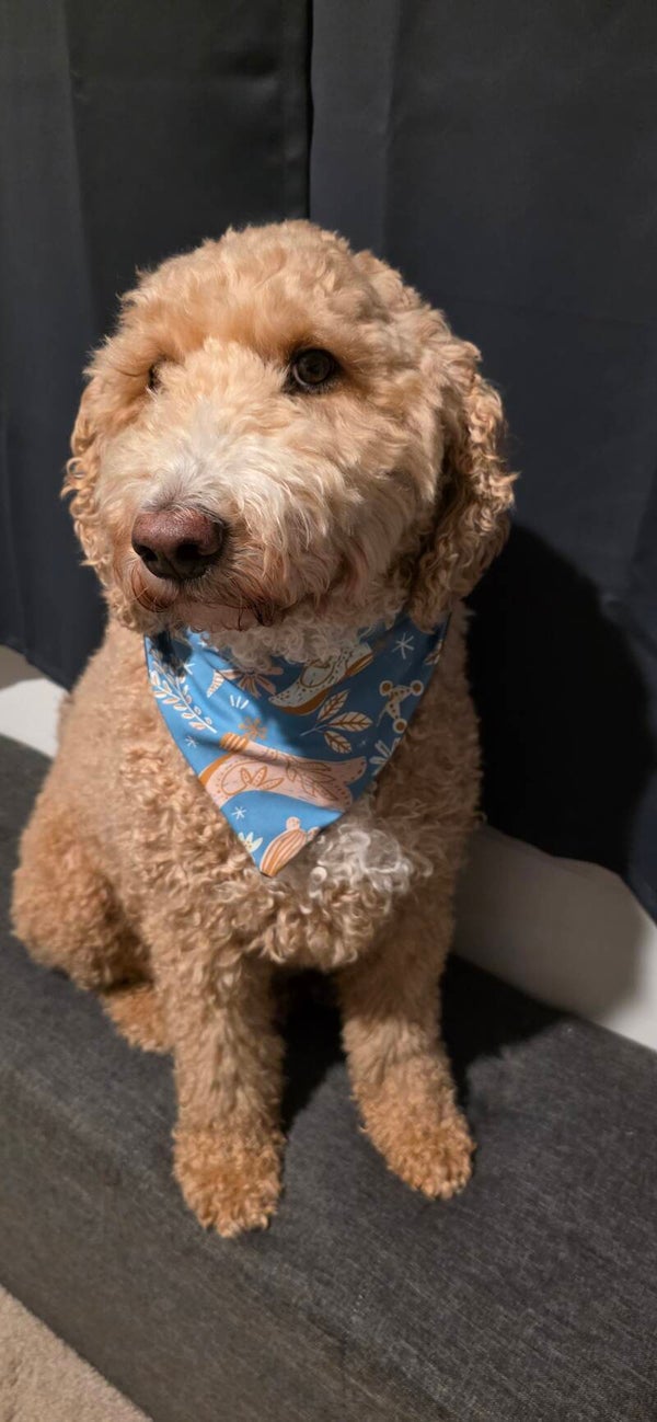 Wild west bandana