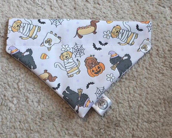 Halloween costumes