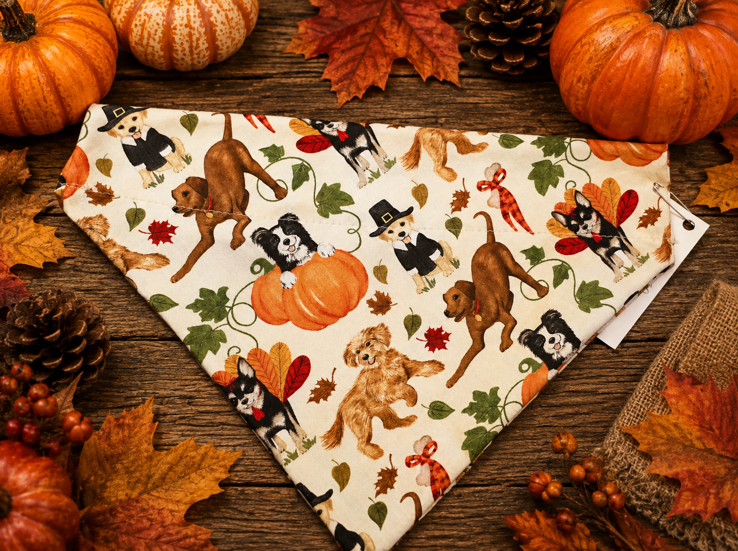 Pumpkin over the collar bandana