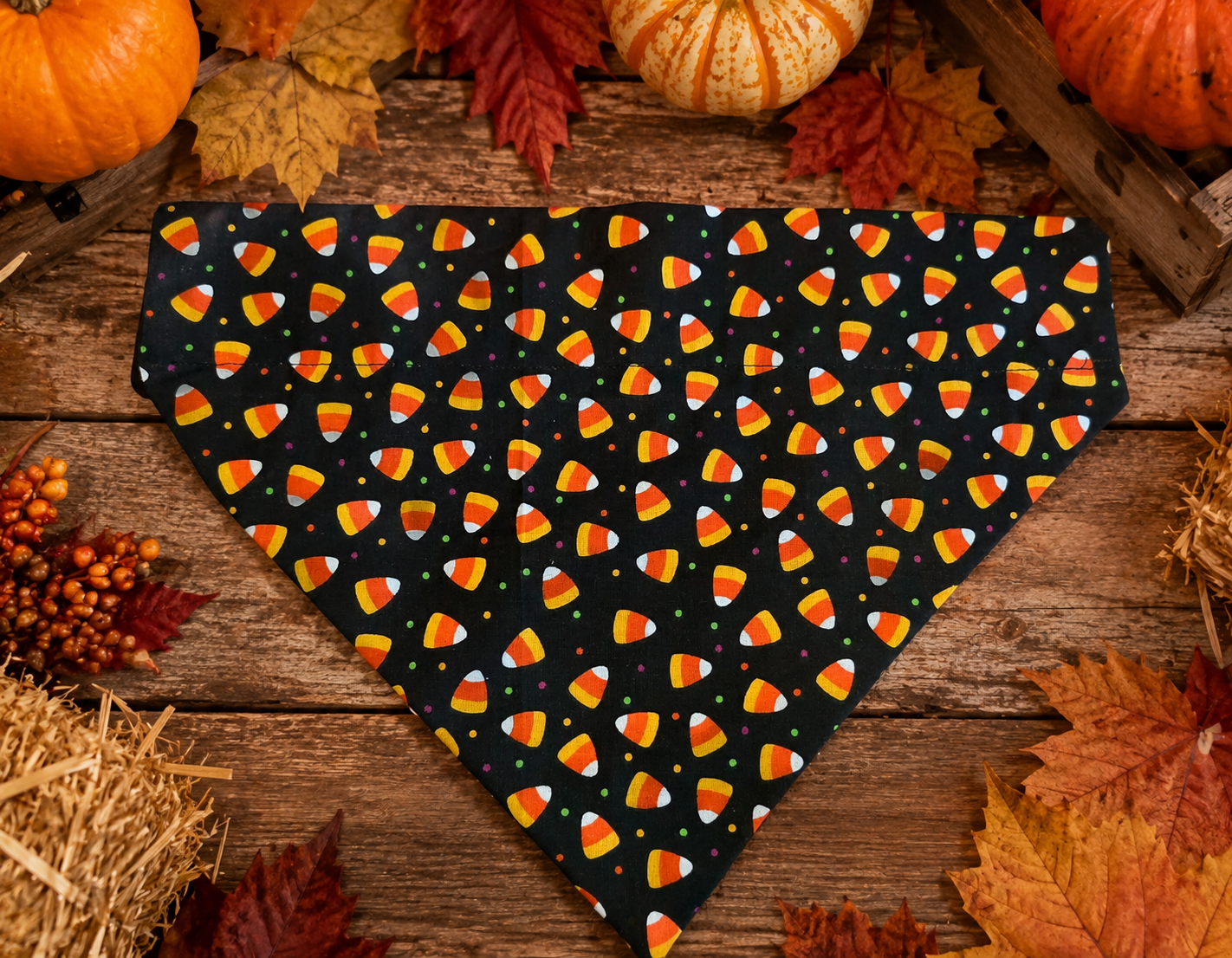 Candy corn over the collar bandana