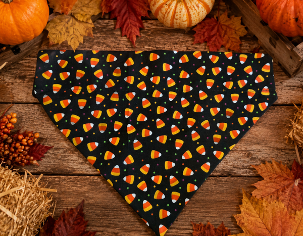 Candy corn over the collar bandana