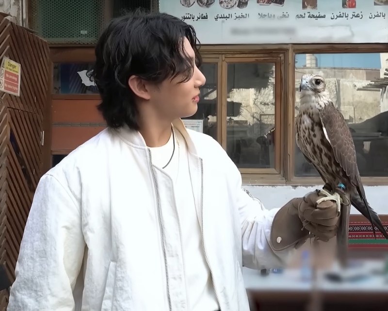 JungKook frente al 'Rey del Desierto' El halcón es el animal representativo de Catar