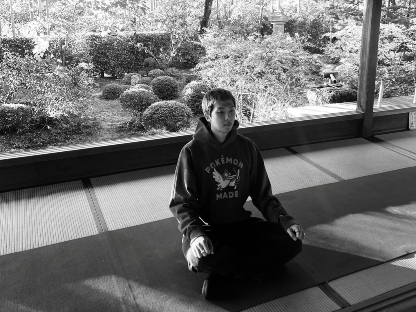 RM de BTS meditando