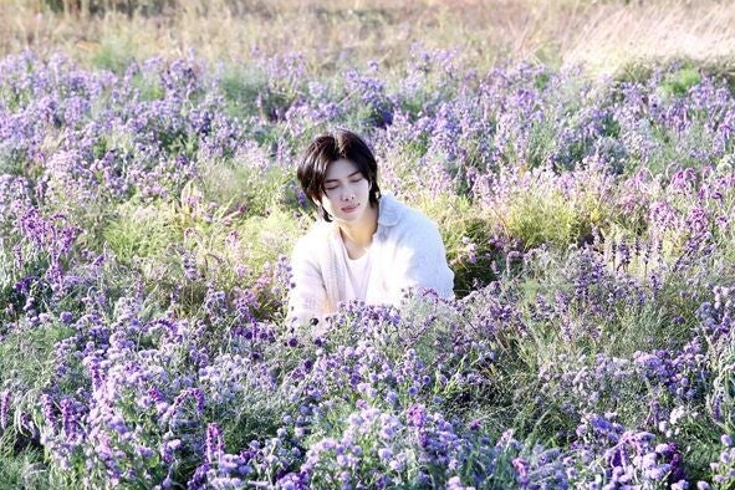 RM en su video al rededor tiene flores moradas