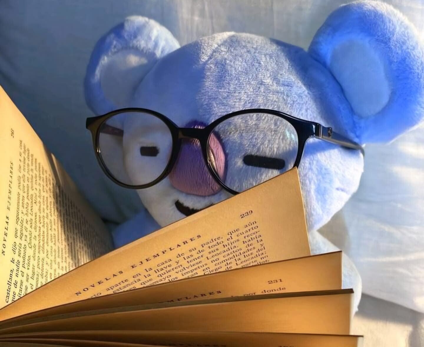 Bt21 Koya leyendo RM Namjoon Kpop