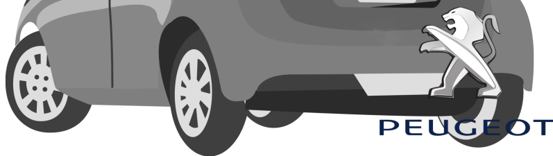 Peugeot matten setje Peugeot automatten 