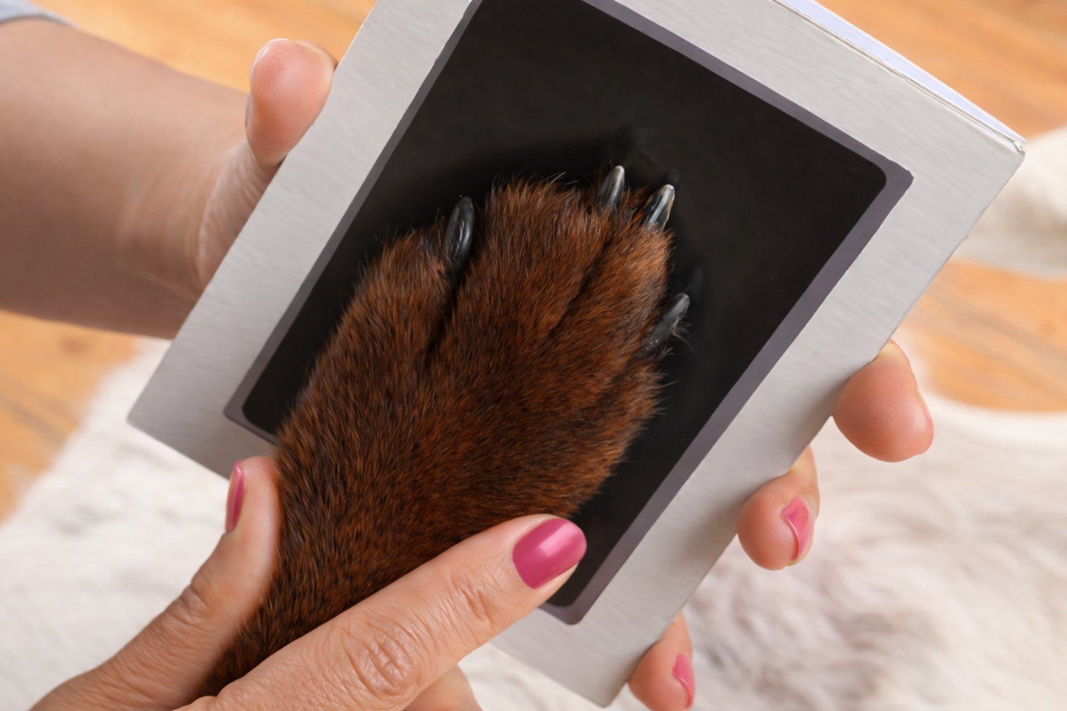 Poot afdruk stempel kaart