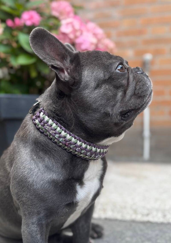 Honden halsband met edelstenen maat M