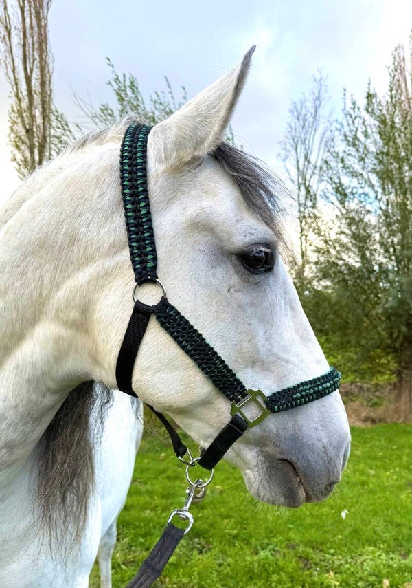 Halster ‘Luxey’ met edelstenen - maat Full