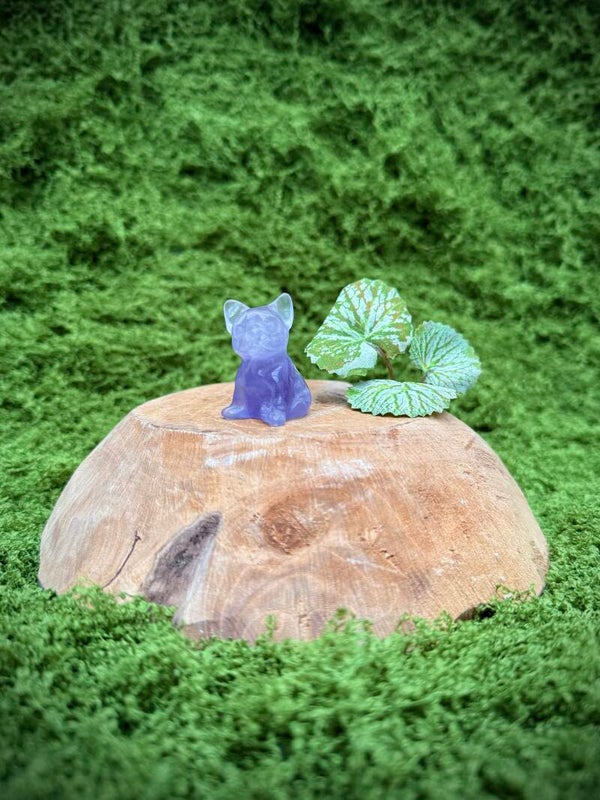 Edelsteen hondje - Franse bulldog Fluoriet