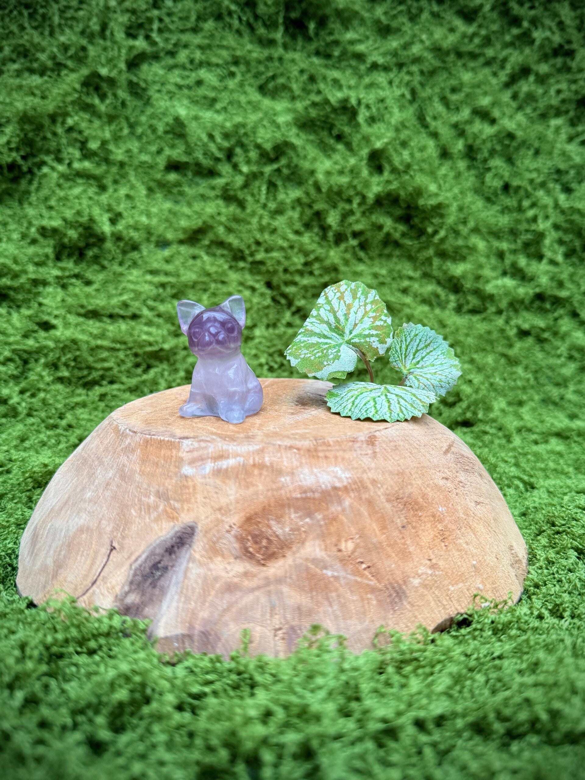 Edelsteen hondje Franse bulldog Fluoriet