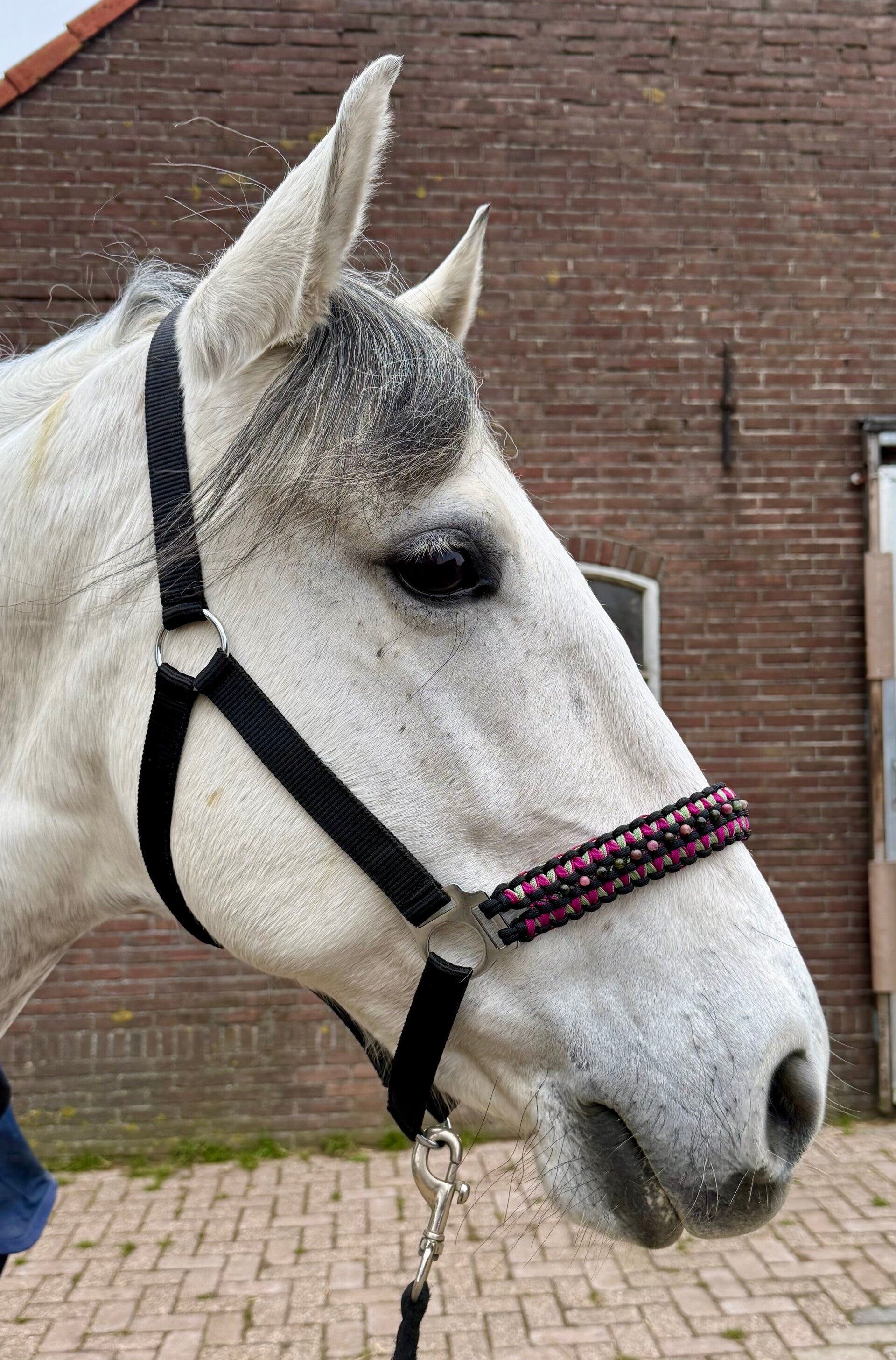 Halster ‘Happy’ met edelstenen neusriem - maat Full