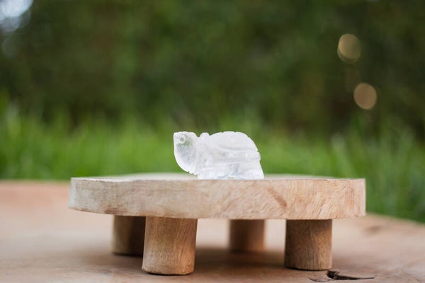 Bergkristal schildpad