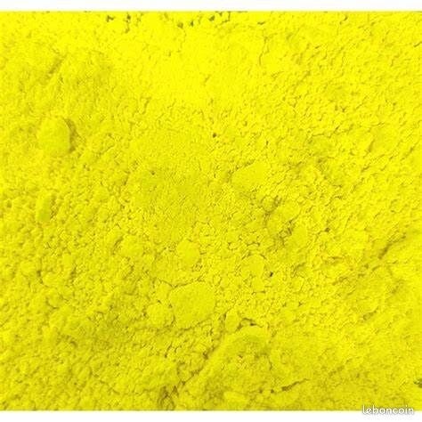 Pate à carpe OneNcarpe Scopex