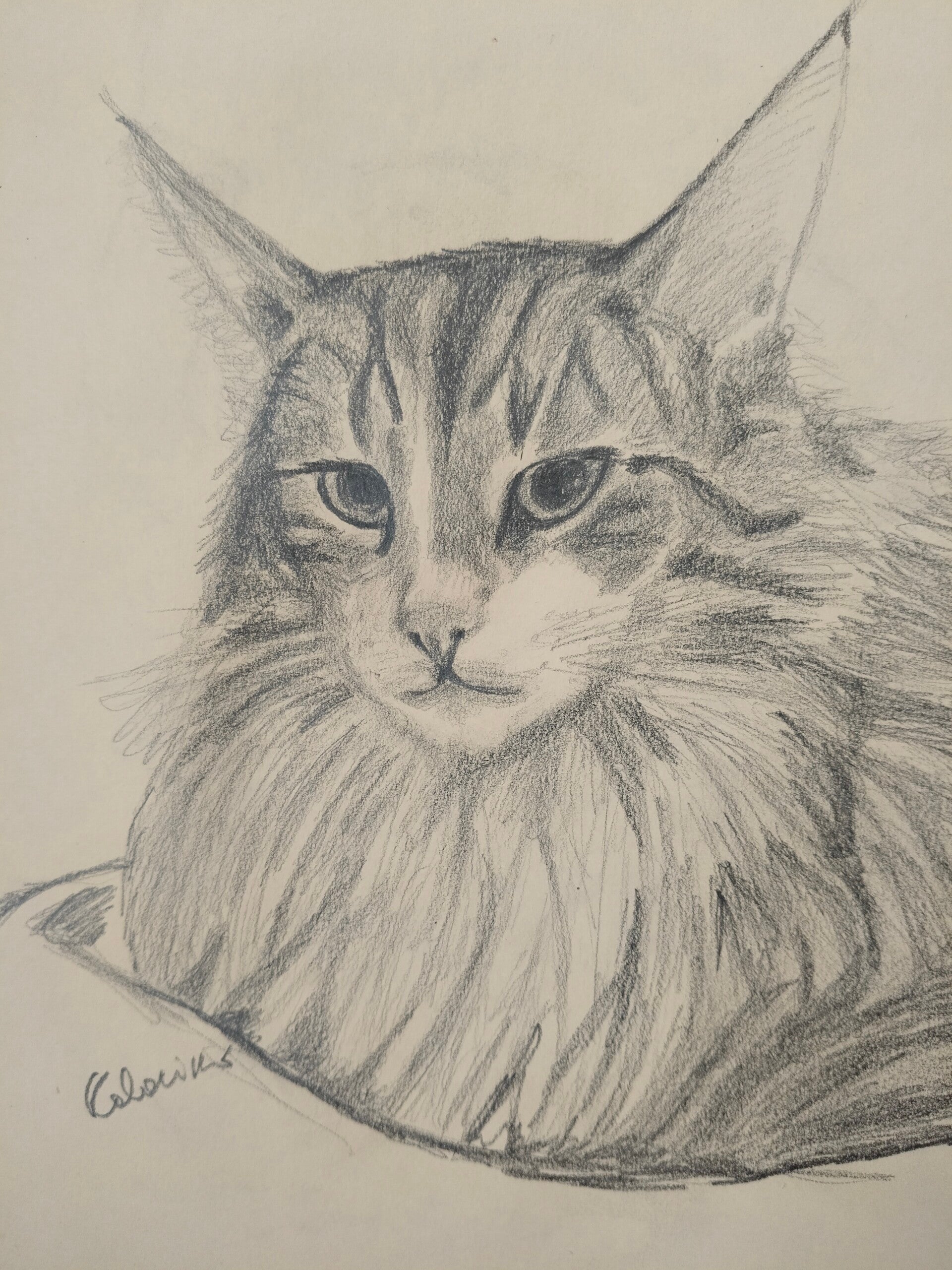 demo-sonno-finito-standard.jpg