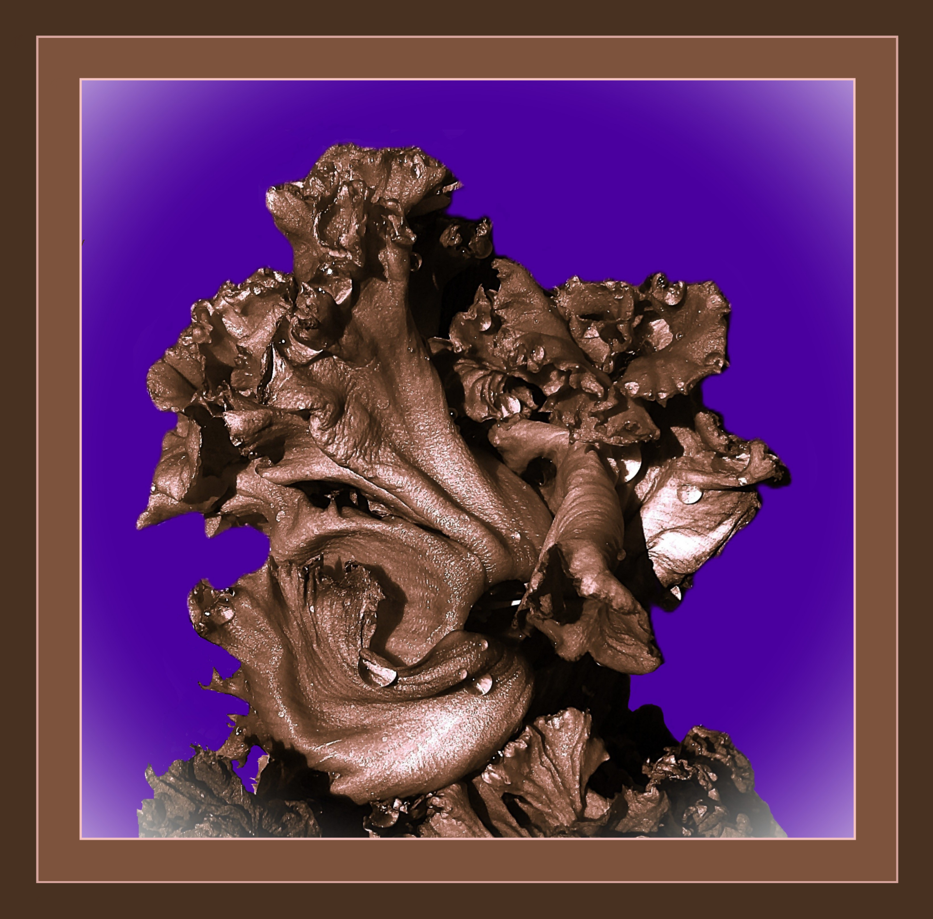 19-5-2025-nog-proefdrukken-standard-e739fk.png