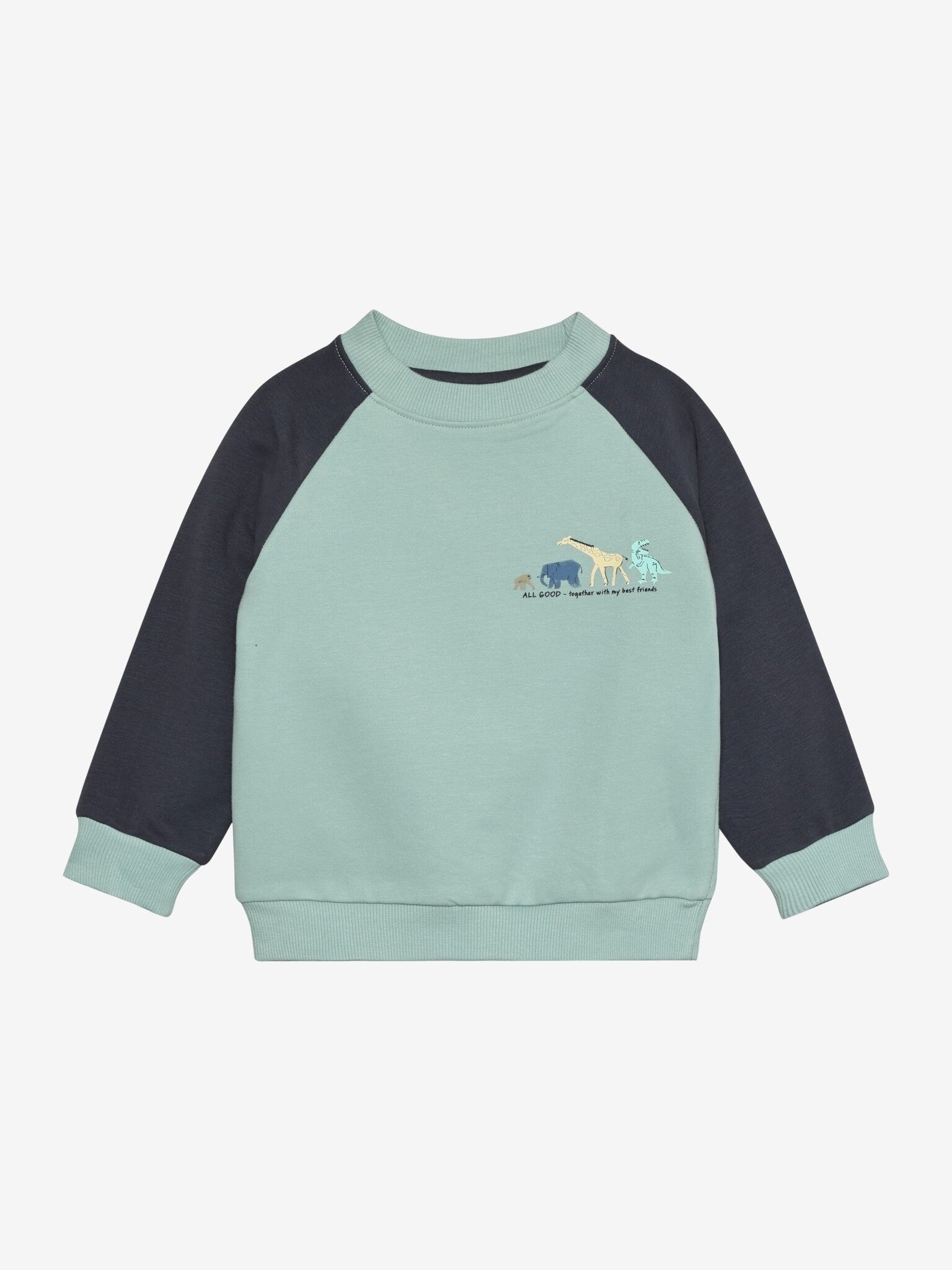 Flerfarget Genser fra Color Kids