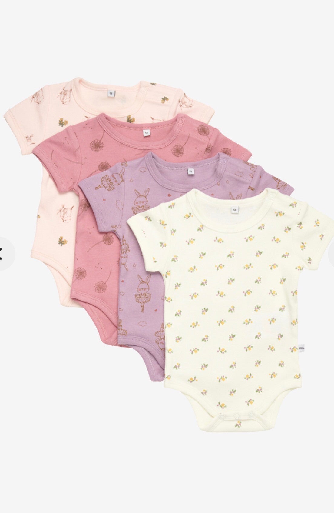 Kortermet body (4 pakk) (Rosa)