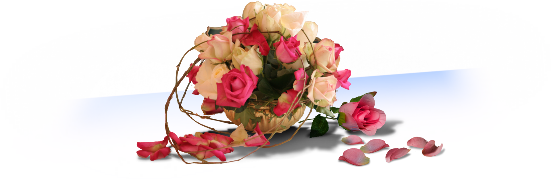 Photo d'un bouquei de roses.