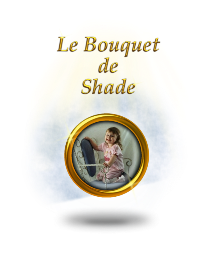 Image d'entête de la page Le Bouquet de Shade.